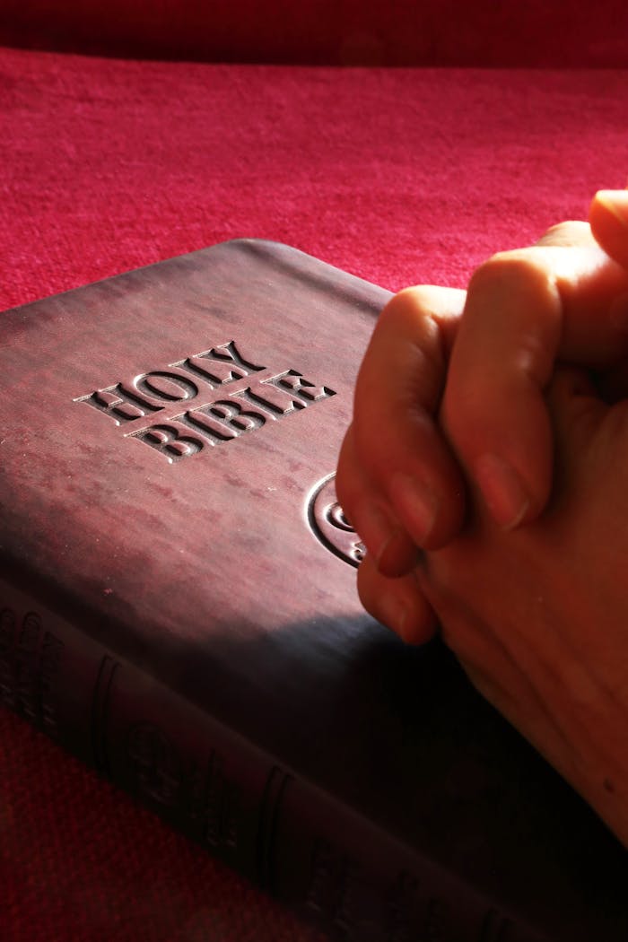 gallery-3 Close-up of hands praying on a Holy Bible, symbolizing faith and spirituality.