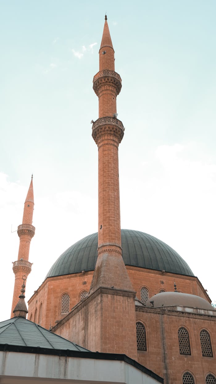 hero-img-01 pexels-photo-33989417.jpeg