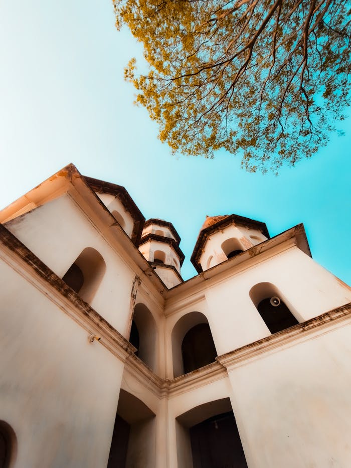 hero-img-02 Capture of a historic church building in Chinsurah, India, with clear sky and tree branches.