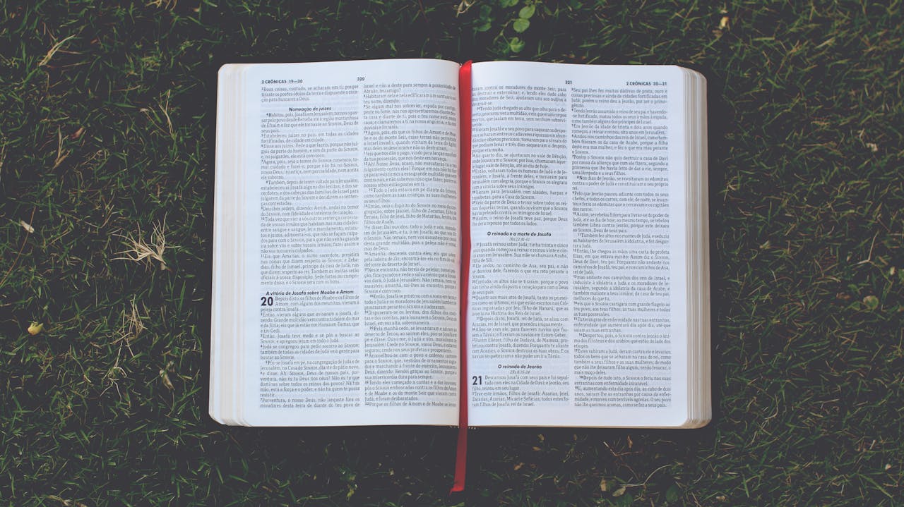 our-services-2 Open Bible on grass with a red bookmark, emphasizing reflection and tranquility.